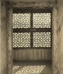 Celosia Indu con tendencia Arabe antigua, enmarcada en vista por un muro anterior. Foto en color sepia.